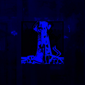 fucking disgrace - single