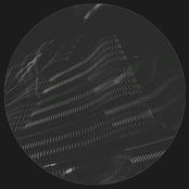 Murder is The Number