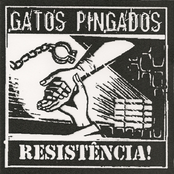 gatos pingados