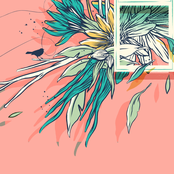 Tropitransformación