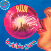 Bubble Gum