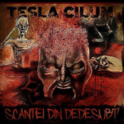 Scântei din Dedesubt