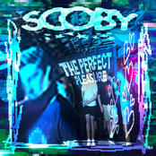 The Perfect Pleasure