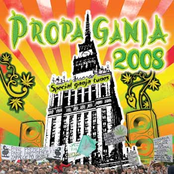 Propaganja 2008