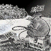 Pig Technology