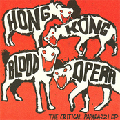 The Critical Paparazzi