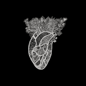 Poklyk Mavok / Clarion of Nymphs