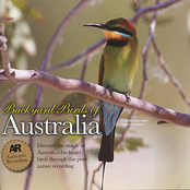 Backyard Birds of Australia