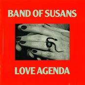 The Pursuit Of Happiness by Band Of Susans