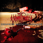 March Into Oblivion by Vomitory
