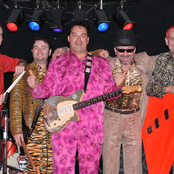 Igor & The Red Elvises