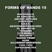 Forms of Hands 15