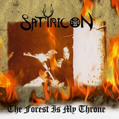 The Forest Is My Throne by Satyricon