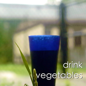 Drink Vegetables - Single