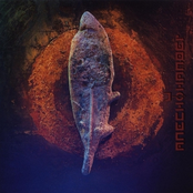 The Blood Of the Flower