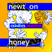 Newton Honey