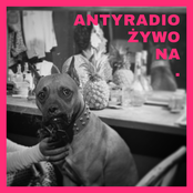 Na żywo. Antyradio