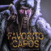 El Favorito de los Capos