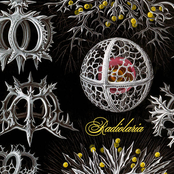 Radiolaria