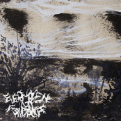 Frozen Dandylions / Evergreen Fondant