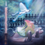 Sea Lemon: Diving For A Prize