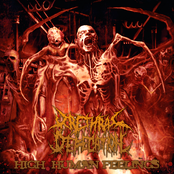 Destruction Of Humanity by Urethral Defecation