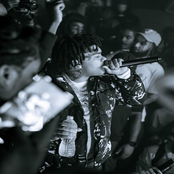 Talking to the Birds