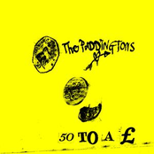 50 To A £ by The Paddingtons