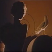 i would never love again