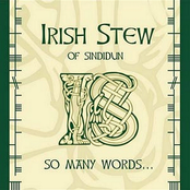 Stout by Irish Stew Of Sindidun