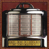 Hey Bo Diddley - A Tribute!