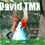 David Pujilas by David Tmx