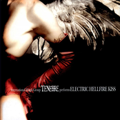 Descend From Heaven by Tenebre