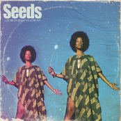 Georgia Anne Muldrow: Seeds