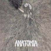 Anatomia / Sex Messiah