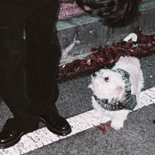 冬に置いてきたもの