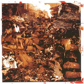 Biological Monstrosity/Magistral Flatulences/Spermswamp Split