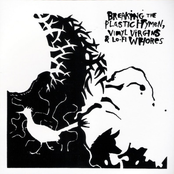 Breaking The Plastic Hymen, Vinyl Virgins & Lo-Fi Whores