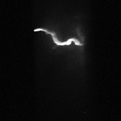 compromised by the quag