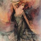 A Wild Rose
