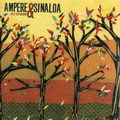 Ampere/sinaloa Split