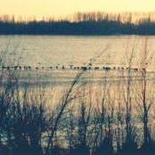 Die letzten Aufnahmen vor ihrem Tod. / 2022010, Eine glückliche Stimmfarbe.