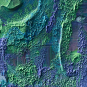 Above The Pale Green