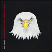 Skulls Skulls Skulls Show Me the Glory