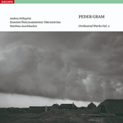 Gram: Orchestral Works, Vol. 2 - Symphonies Nos. 2 and 3, Avalon