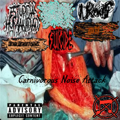 Carnivorous Noise Attack