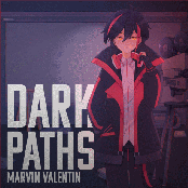 Dark Paths