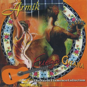 Fuego Gitana by Armik