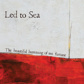 The Beautiful Humming of Ms. Fortune