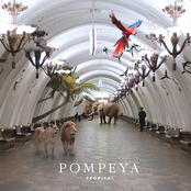 90 by Pompeya